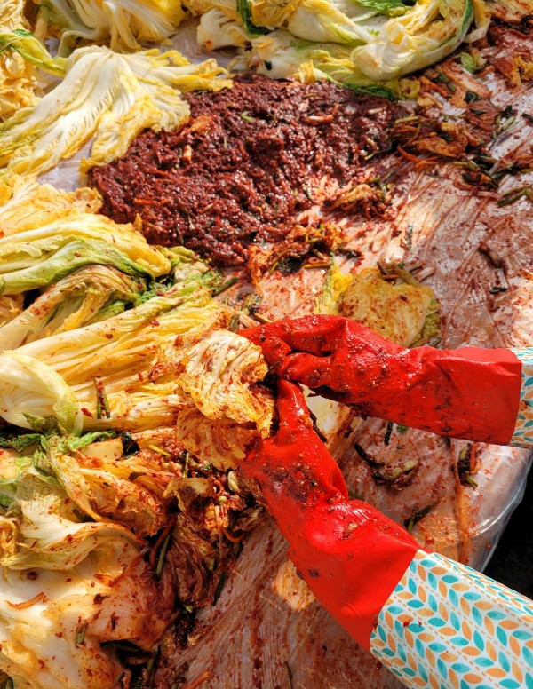 김치 숙성실 온도, 로트마다 같은 곡선으로 관리하기