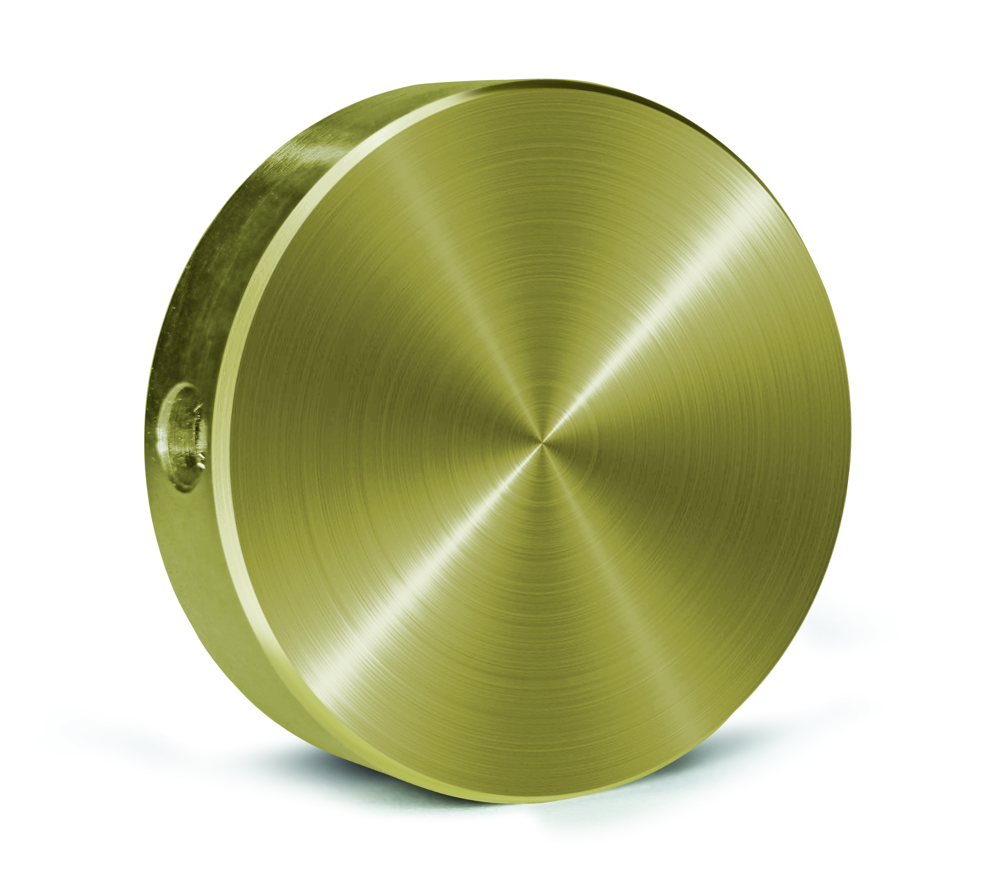 MadgeTech MicroDisc - 측면 나사 구멍이 보이는 MicroDisc