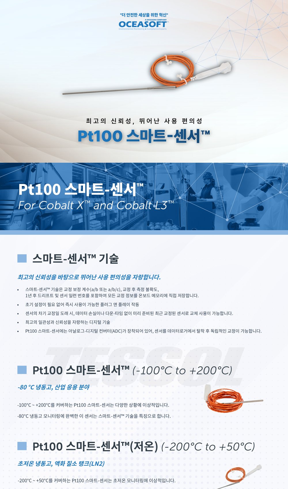 DICKSON Pt100 스마트-센서™ 상세 이미지 1