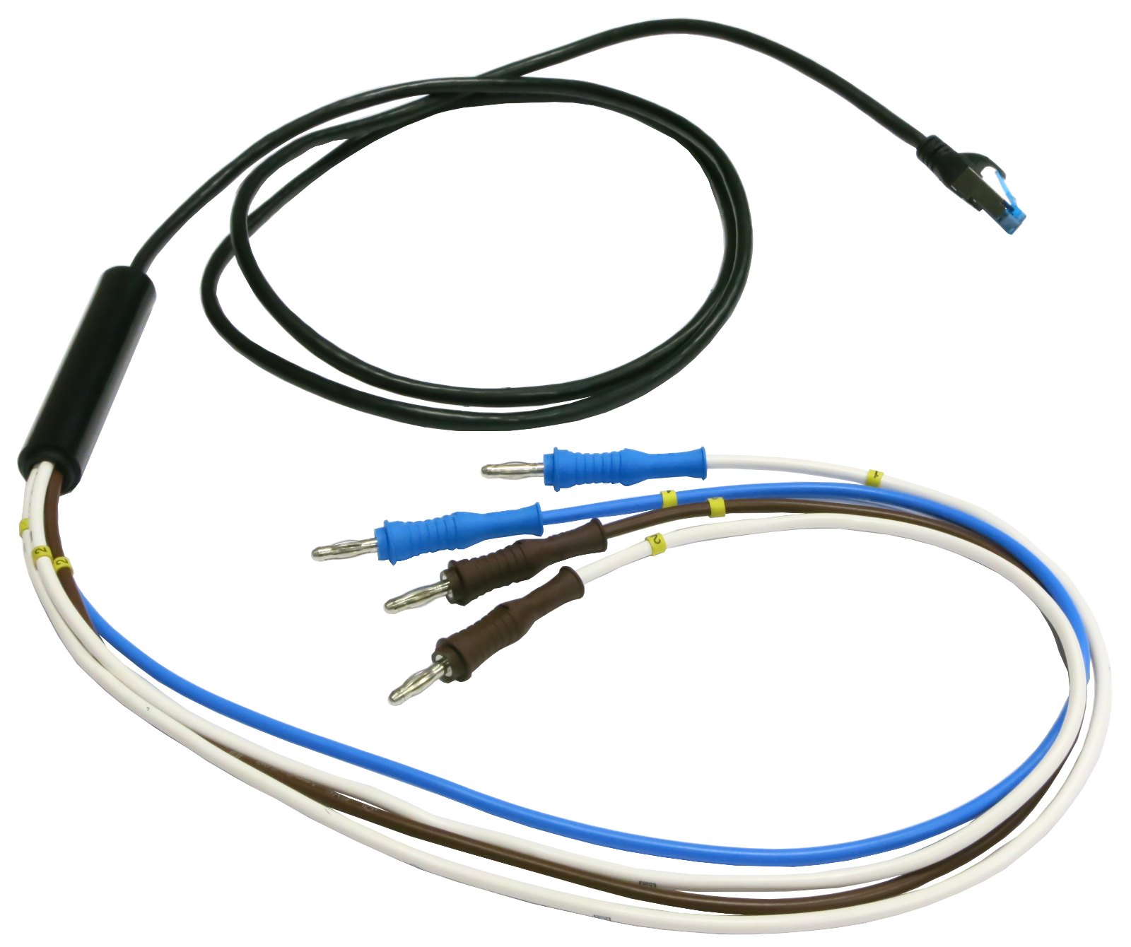 ELECTRO-PJP RJ45-4-4578 - RJ45 커넥터에서 네 가닥 바나나 플러그로 갈라진 케이블