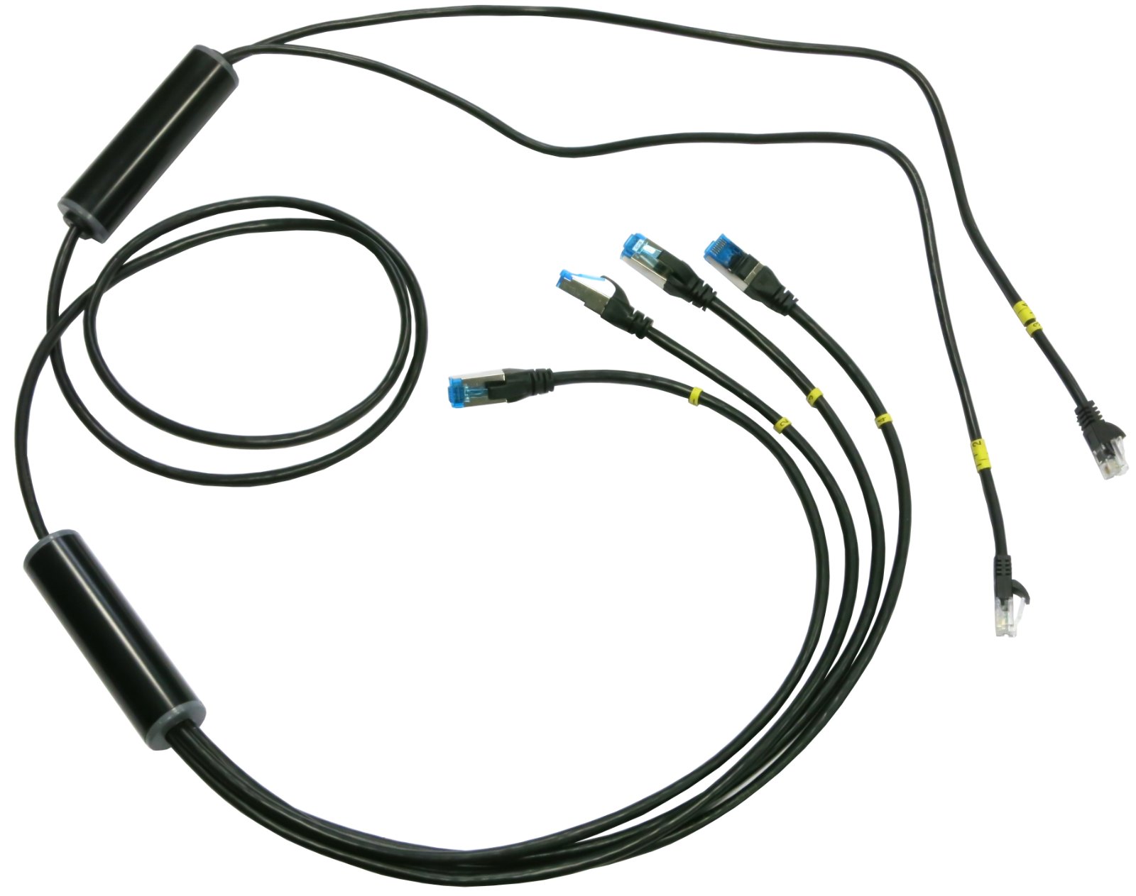 ELECTRO-PJP RJ11X2/RJ45X4 - RJ11 커넥터에서 RJ45 커넥터 네 개로 갈라진 케이블