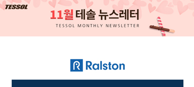 테솔 뉴스레터 2024년 11월호