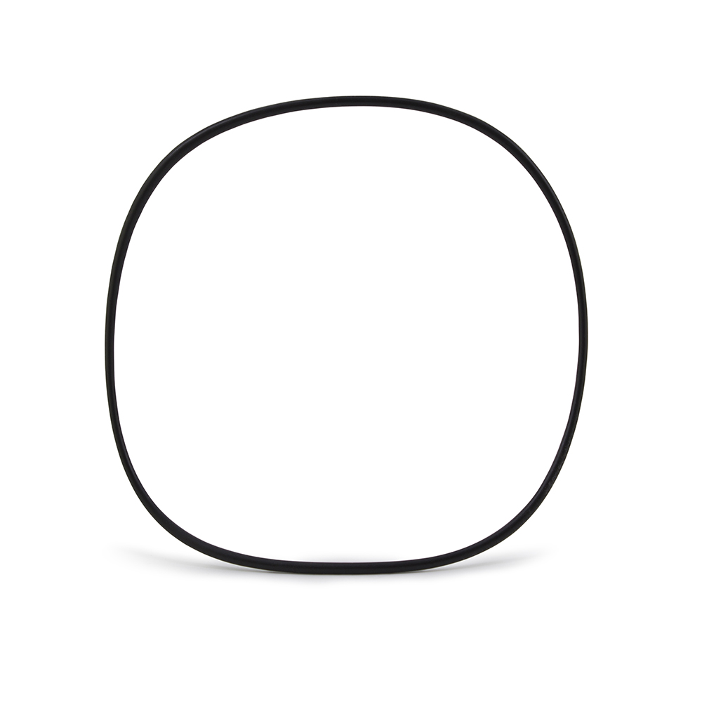 MadgeTech WATERBOX101A O-RING
